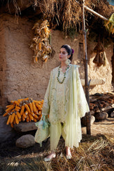 Zaha Lawn '26 | TÁO RÓU 桃柔 (ZL26-14 B)