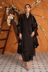 Premium Winter Edit'24 By Rang Rasiya Espresso