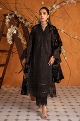 Premium Winter Edit'24 By Rang Rasiya Espresso