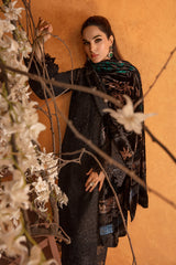 Premium Winter Edit'24 By Rang Rasiya Espresso