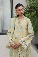Qalamkar Qline Lawn Drop II | QKL-11 MEIRA