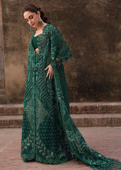 Jhilmil By Crimson '26 | ZAMARD