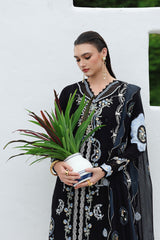 QLine | KL-09 ZYRA | Linen Collection