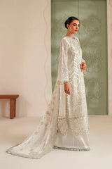 Neorah | VAREHA CHIFFON | SKU: XF-1042