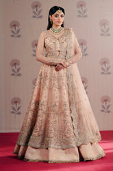 Zarposh | Dilara | Embroidered