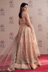 Zarposh | Dilara | Embroidered