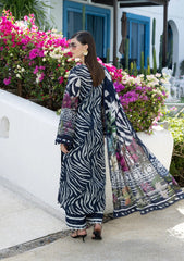 Elaf Prints Premium 2026 | EPN-3A STARRY NIGHT