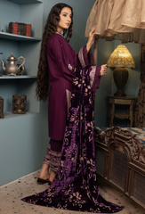 HumDum | D-07 | ZOUQ '25 WINTER