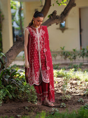 Binilyas Heritage Dore Summer '26 | 176-A | 3 PC Lawn