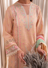 Zavi | ZV-105 Camellia | Azalea Lawn Edit'25