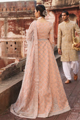 Mehak Vol-08 Collection'24 By Flossie FE-809