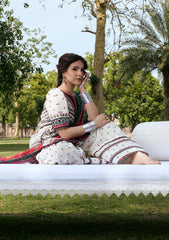 PRINTS CHIFFON COLLECTION '26 By Kahf | KPS-2B MEHRUBA