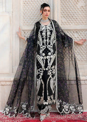 Saira Shakira Wedding - Delina