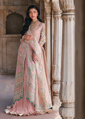 Saira Shakira Wedding - Zinnia