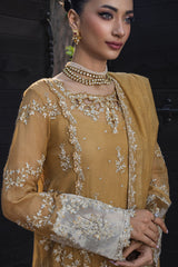 Rang Rasiya | Wedding Formals '25 | Misha RR25V08WFD01-UN