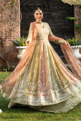 Rang Rasiya | Wedding Formals '25 | Amil RR25V08WFD02-UN