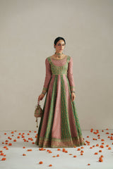 Vera Rang Multicolor Anarkali Set
