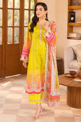 Charizma Range-Vol-1 | 3-PC Unstitched Embroidered Lawn RN6-06