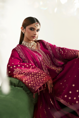 Luxury Pakistani velvet dress by Emaan Adeel – Zarposh Collection