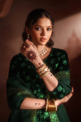 Traditional velvet dress with embroidery and net dupatta