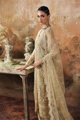 Elegant embroidered outfit RajBari Celestia 2025