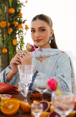 Seran Afsanah - Unstitched Lawn 26 Alara