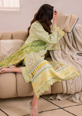 Zavi | ZV-102 Peony | Azalea Lawn Edit’25