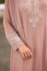 Iznik | Chinon Chiffon | CC-69 Embroidered Chiffon