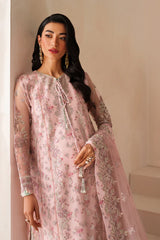 Neorah | ASHAL NET | SKU: XF-800