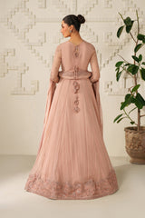 Iznik Festive Formals '26 | UE-623 Embroidered Chiffon