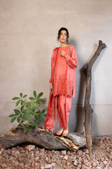 Unstitched Fall Edit'24 By Sobia Nazir 6B