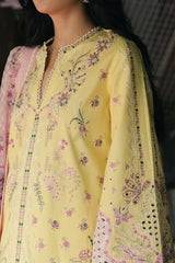Mulaqaat '26 By Afrozeh | Lamha