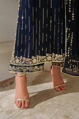 Iznik Chinon Chiffon | CC-89 Embroidered Chiffon