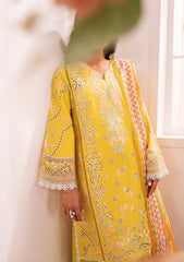 Zavi | Canna | Azalea Lawn Edit'25