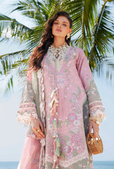 AJR Evara Luxury Lawn | Niva