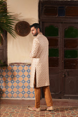 Back design of Mehr Raaj sherwani with traditional Punjabi elements