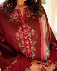 Calira chikan embroidered sleeves by Roheenaz