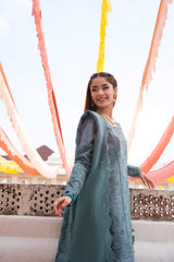 Basant ChikenKari '26 unstitched FBC - 6B