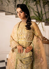 Luxury Wedding Formals'24 By Inayat Premium Brewing-Matcha