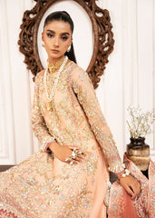 Luxury Wedding Formals'24 By Inayat Premium Sun-Kissed