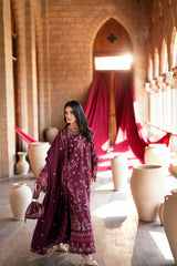 Florent | Fws-3A | Shades of Winter