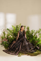 Reem Festive'24 By Zoya & Fatima Afrah