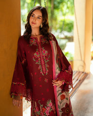 Embroidered organza sleeves border of Roheenaz Calira