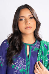 Winter Collection'24 By Alkaram FW-46.1-24-Blue