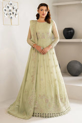 Front embroidered chiffon maxi of Alizeh Zenel in mint green