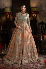 Imrozia Sitarah orange embroidered net formal dress