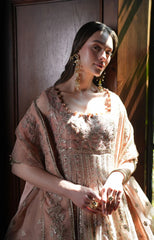 Inayat Premium HAZE wedding and festive wear gown with embroidered details