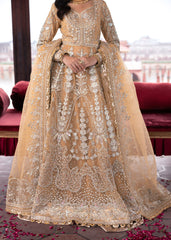 Brides Edition'24 By Sardinia Malikaa Jaan