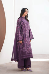 Sunspell '26 By Afrozeh | AVENOR