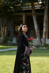 Nayab (ZW24-09)